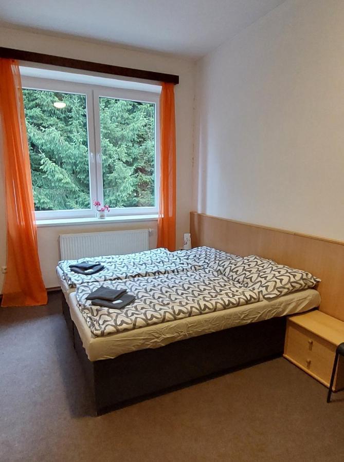 Apartmán NOVOHRADKY 22 Benesov nad Cernou Exterior foto