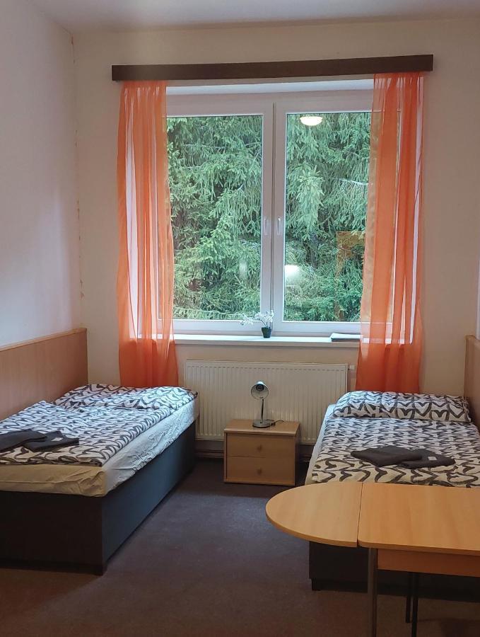 Apartmán NOVOHRADKY 22 Benesov nad Cernou Exterior foto
