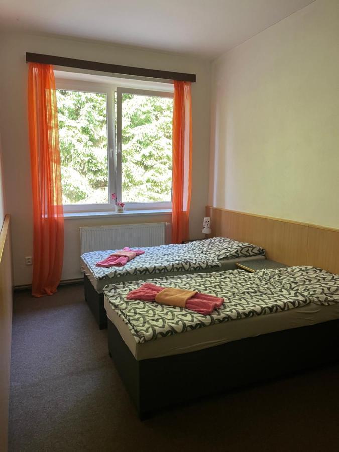 Apartmán NOVOHRADKY 22 Benesov nad Cernou Exterior foto