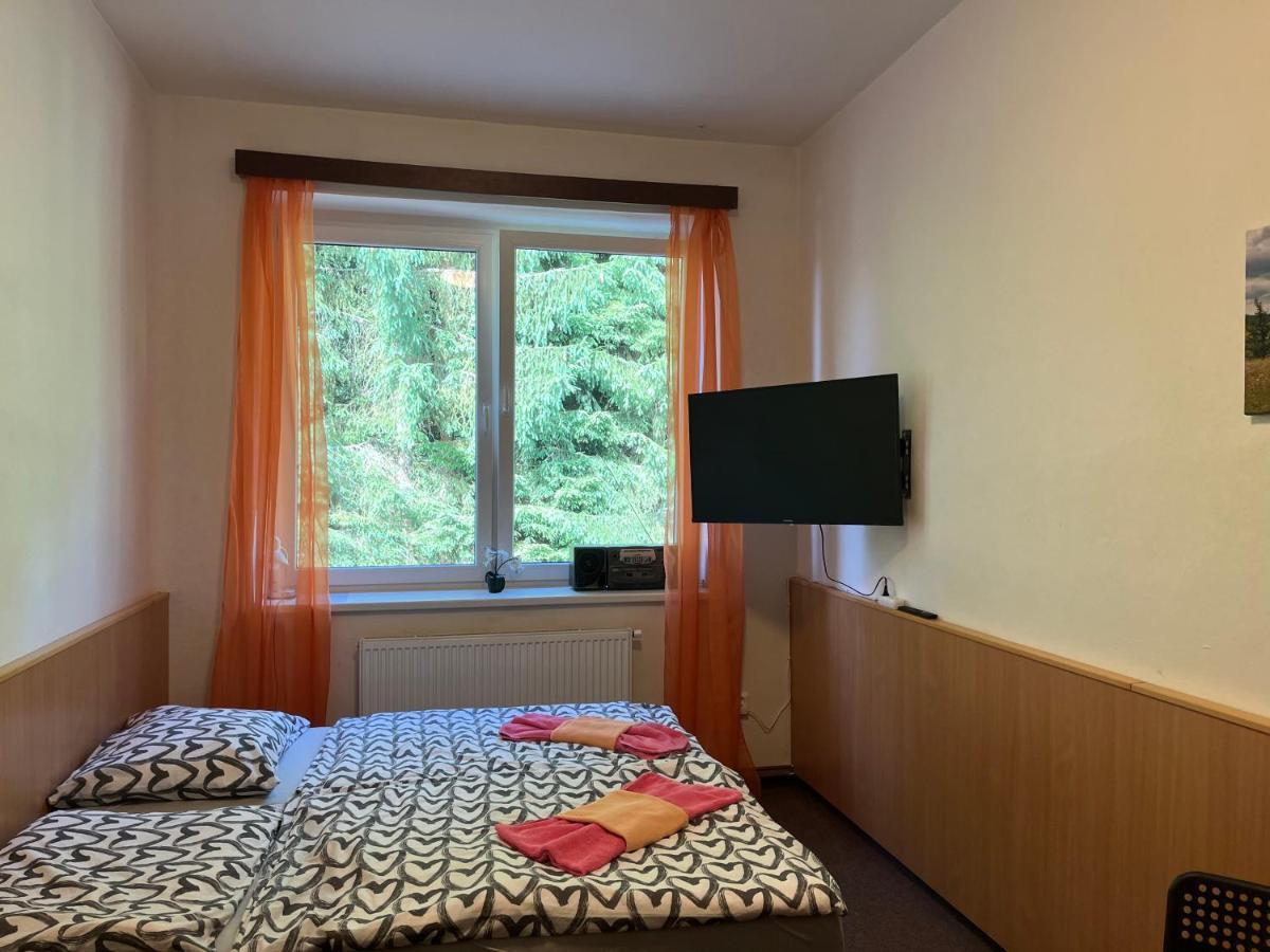 Apartmán NOVOHRADKY 22 Benesov nad Cernou Exterior foto
