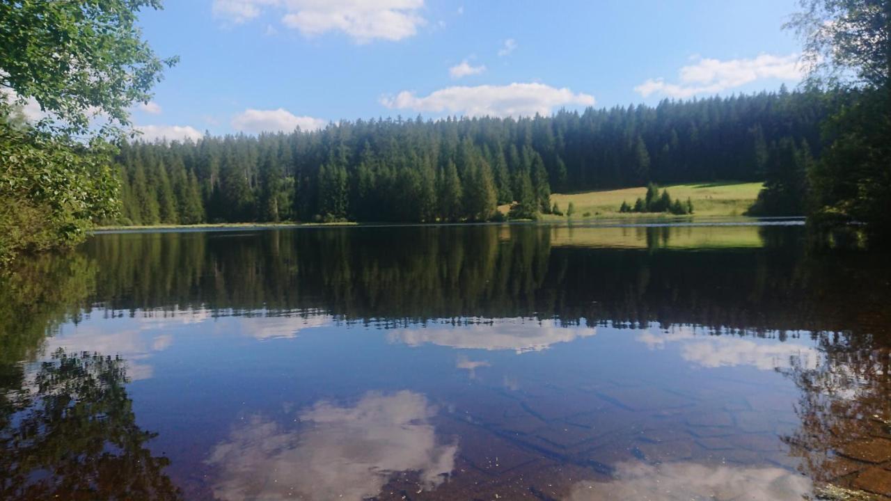 Apartmán NOVOHRADKY 22 Benesov nad Cernou Exterior foto